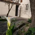 La Casita De Tiane * La Adrada