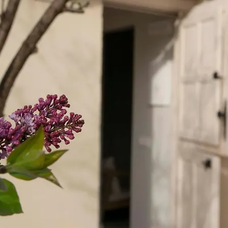La Casita De Tiane
