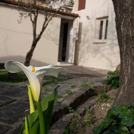La Casita De Tiane * Ла-Адрада