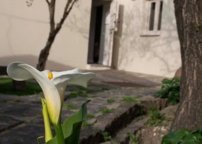 La Casita De Tiane * La Adrada